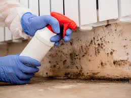 Mold Remediation for Vacation Homes in Fairfax, VA